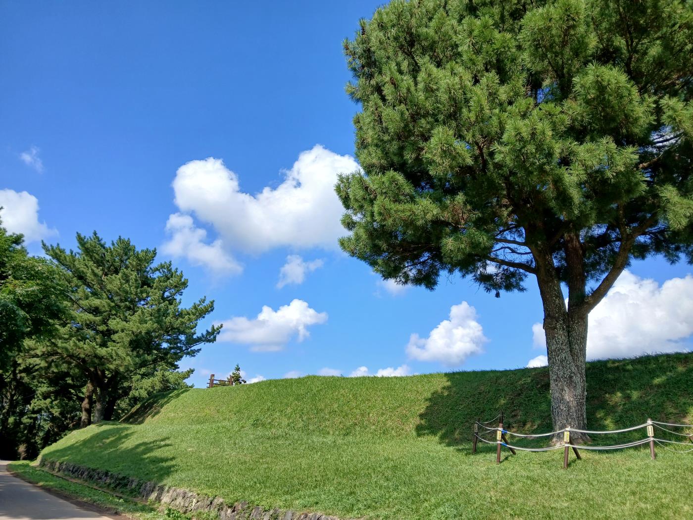 Green earthwork ramparts and pine trees at Hangpaduri Hangmong Historic Site, Jeju