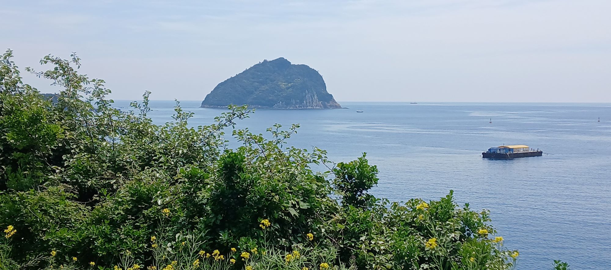 View across calm blue sea to a distant volcanic island off the Jeju coast, seen through coastal greenery